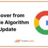 Recover from google algorithm update