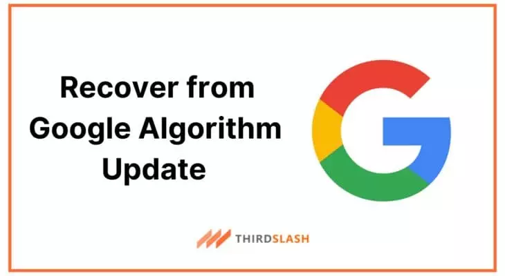 Recover from google algorithm update